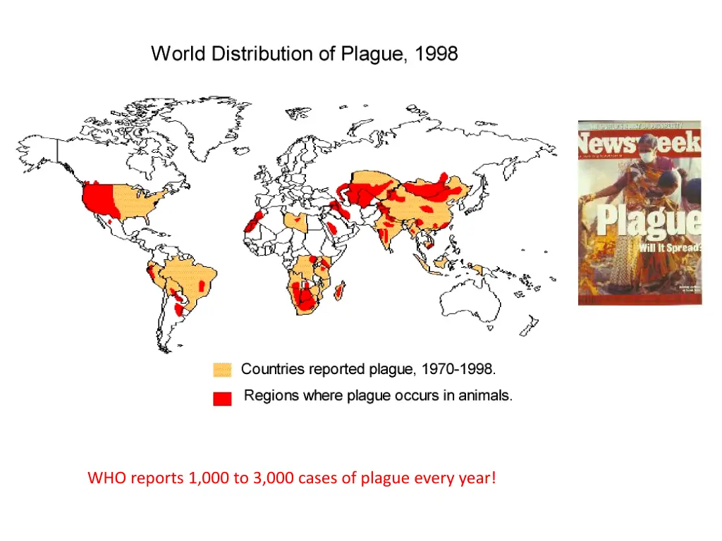 who reports 1 000 to 3 000 cases of plague every