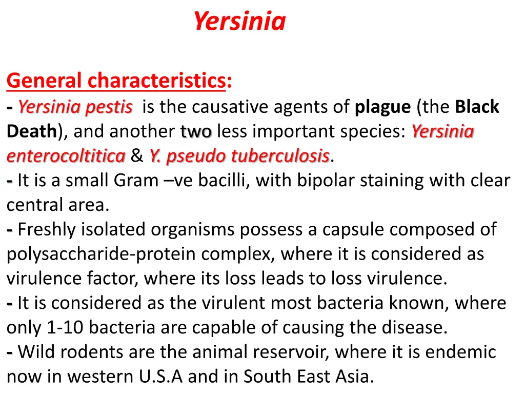 yersinia 1