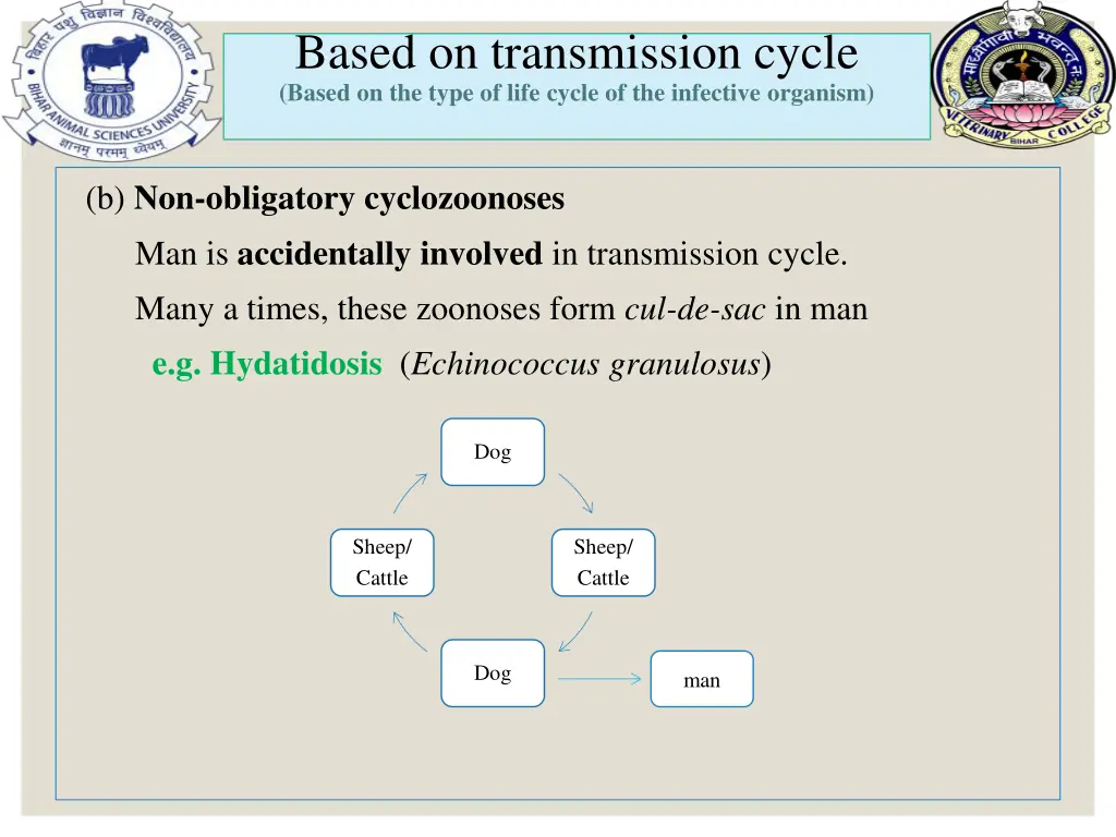 based on transmission cycle based on the type 1