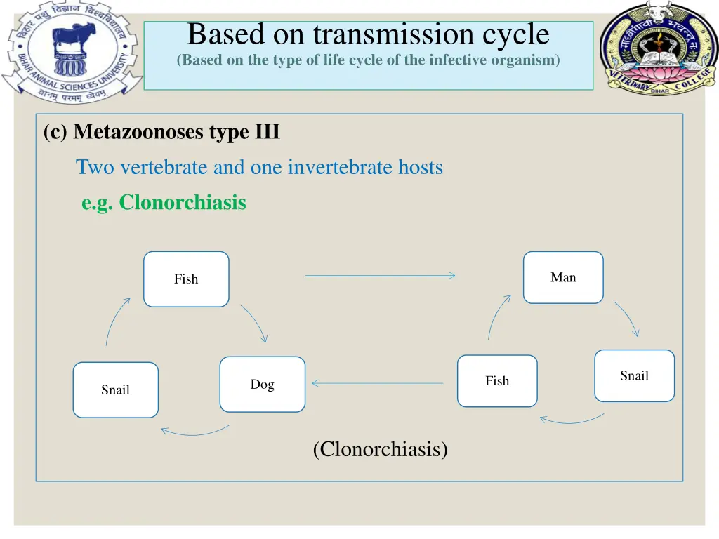 based on transmission cycle based on the type 4