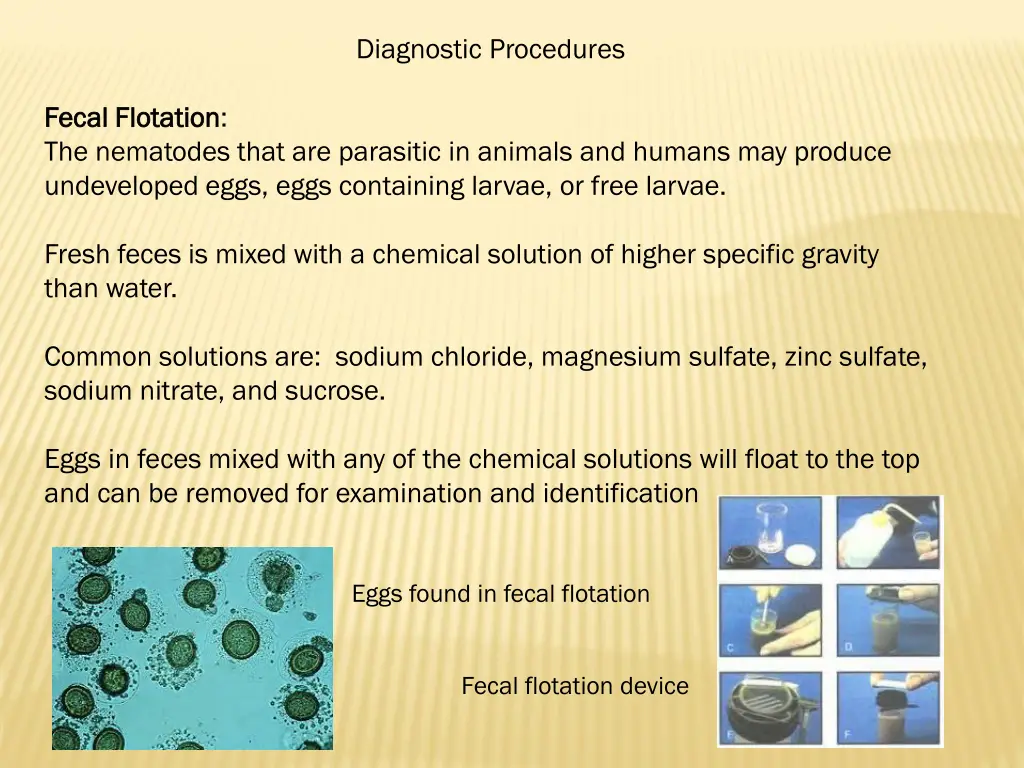 diagnostic procedures