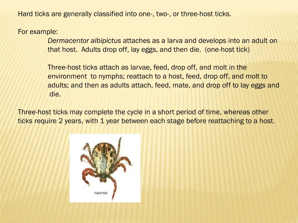 hard ticks are generally classified into