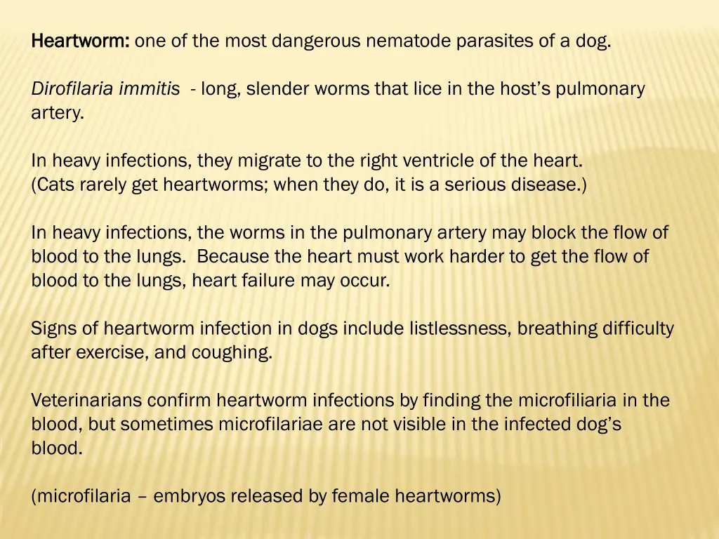 heartworm heartworm one of the most dangerous