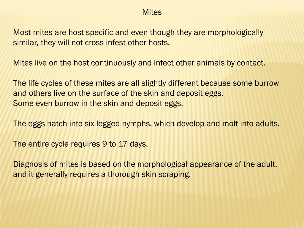 mites