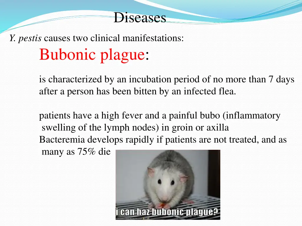 diseases 1