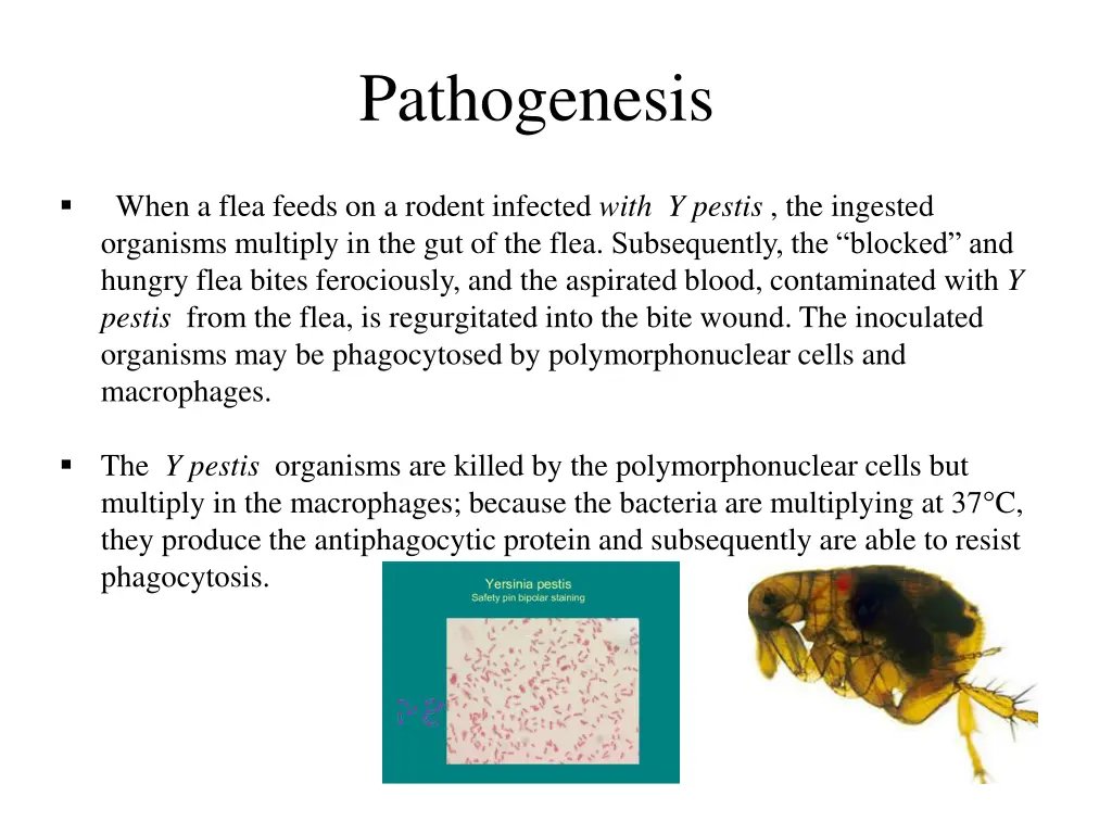 pathogenesis