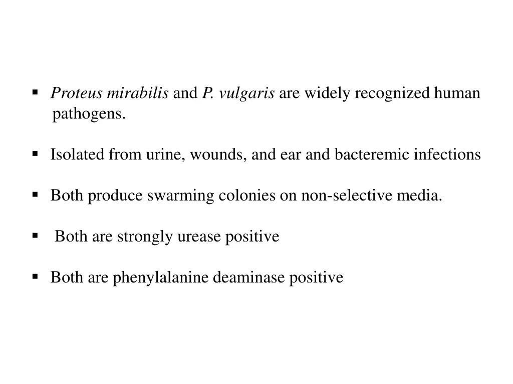 proteus mirabilis and p vulgaris are widely