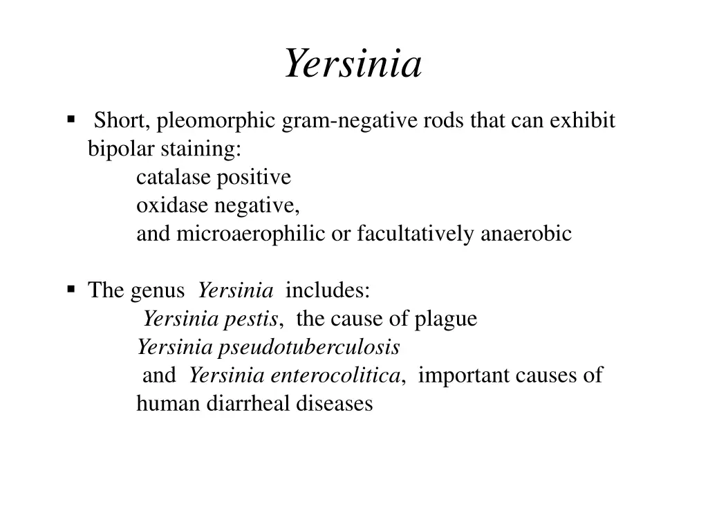 yersinia