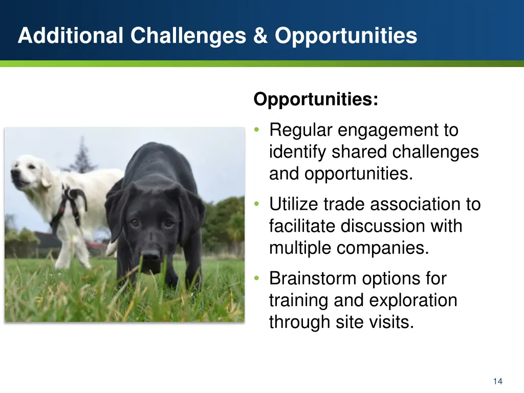 additional challenges opportunities 1