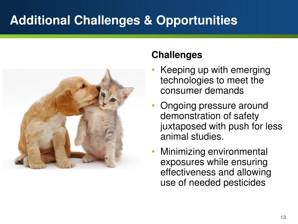 additional challenges opportunities