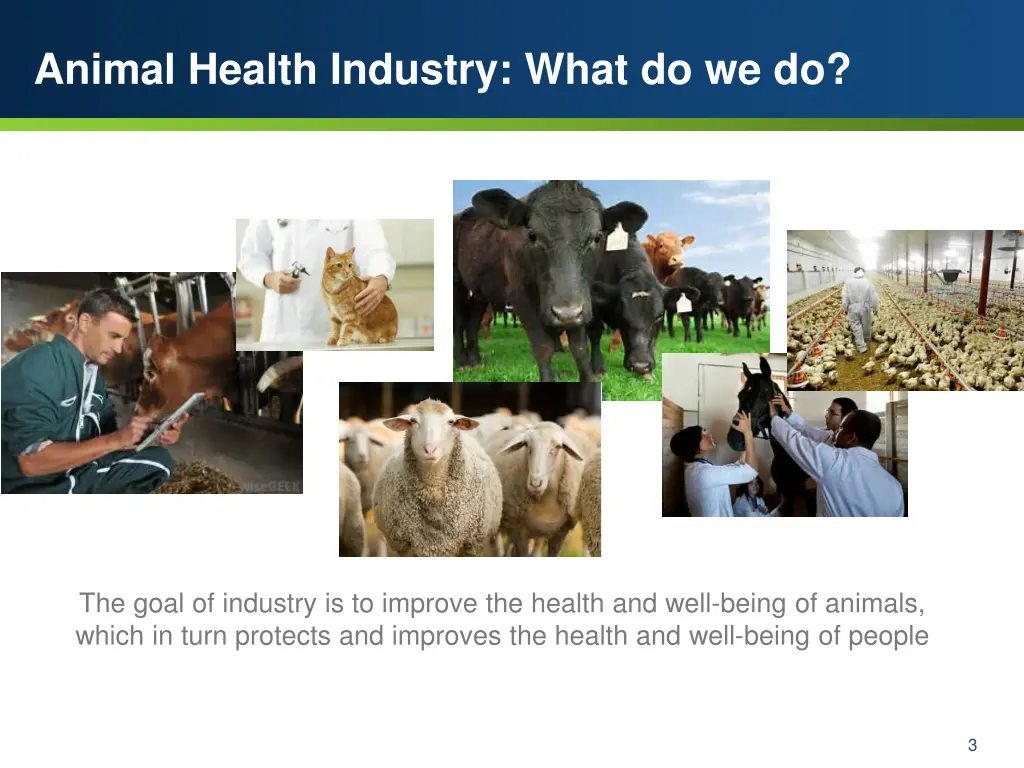 animal health industry what do we do