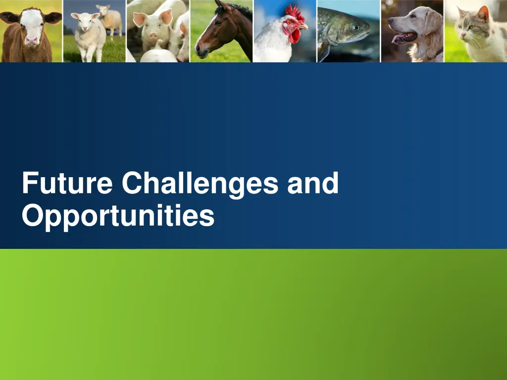 future challenges and opportunities