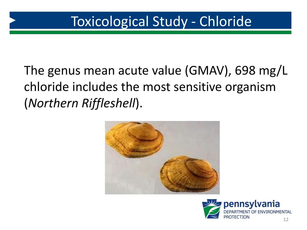 toxicological study chloride 1