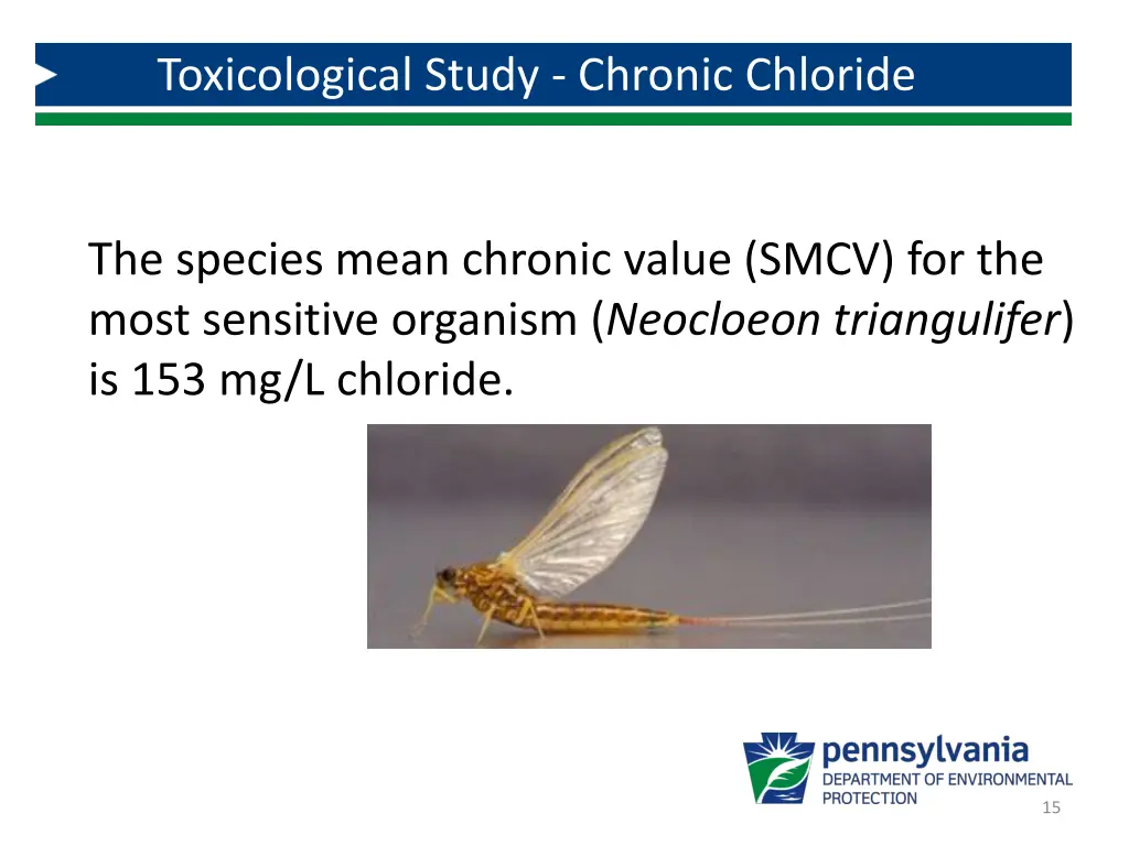 toxicological study chronic chloride