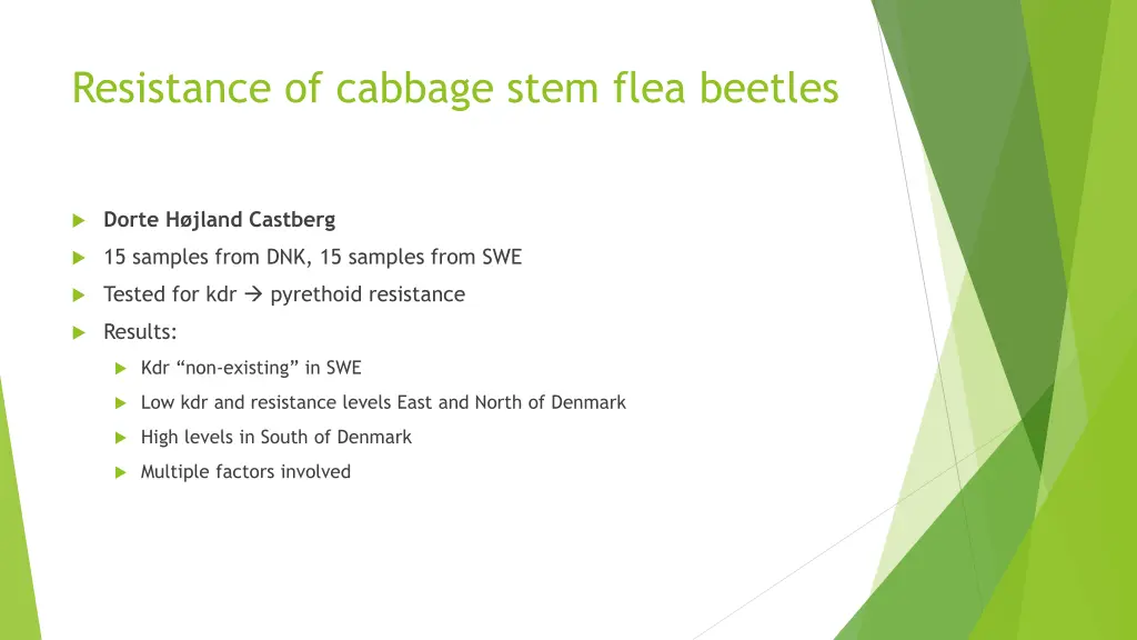 resistance of cabbage stem flea beetles