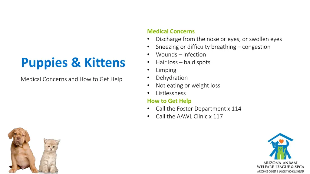 medical concerns discharge from the nose or eyes