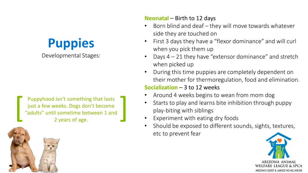 neonatal birth to 12 days born blind and deaf