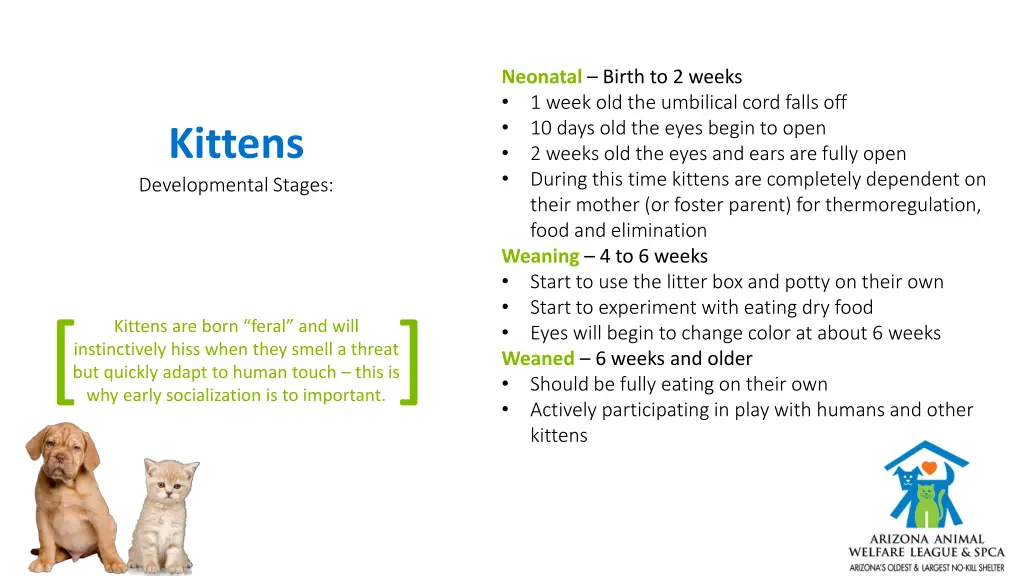 neonatal birth to 2 weeks 1 week