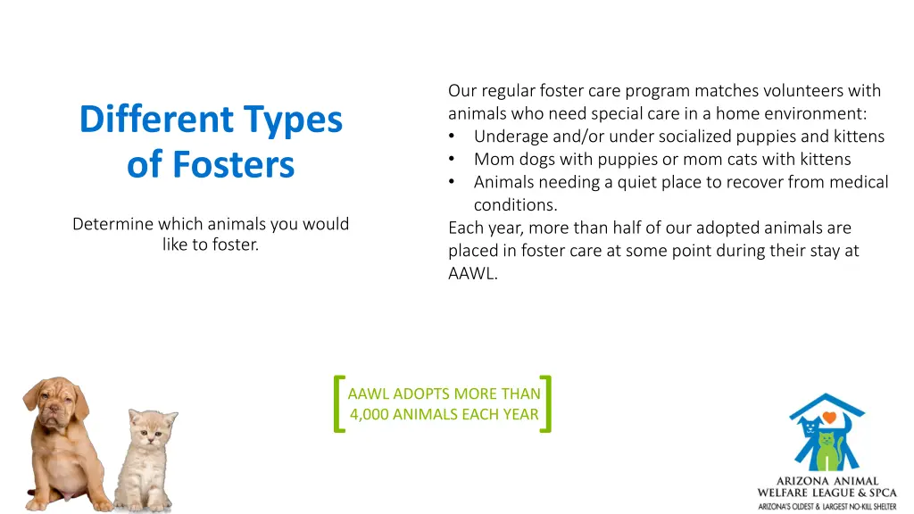 our regular foster care program matches