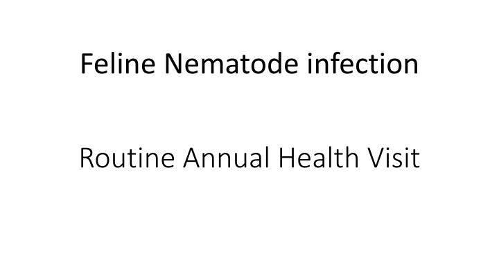 feline nematode infection