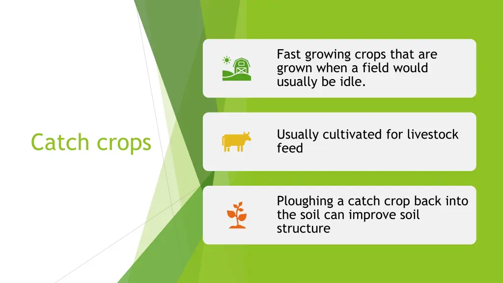 fast growing crops that are grown when a field