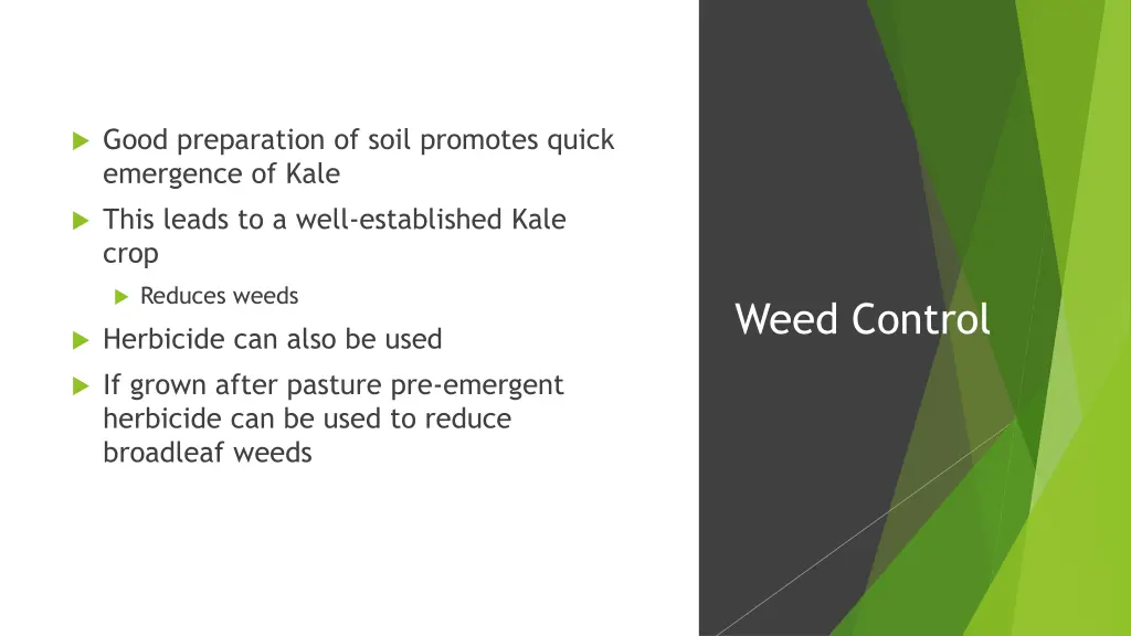 good preparation of soil promotes quick emergence