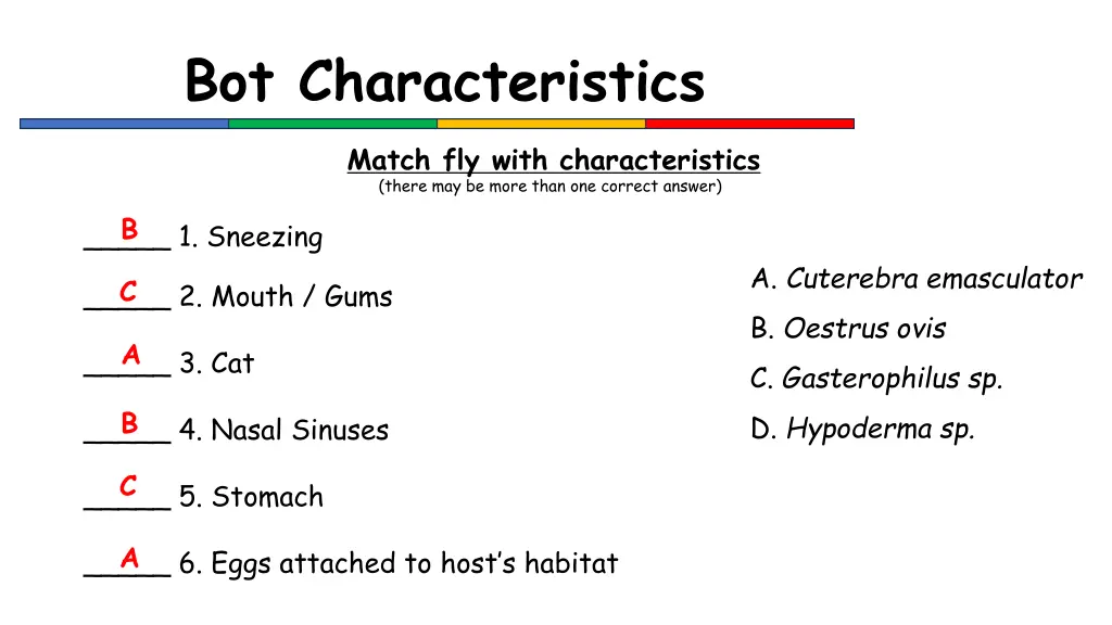 bot characteristics 1