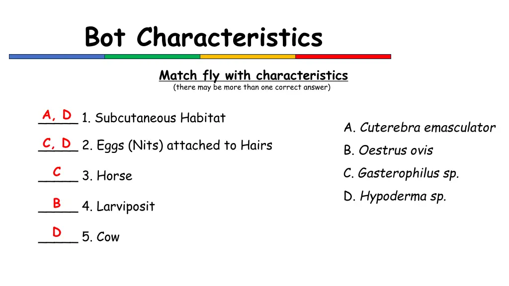 bot characteristics