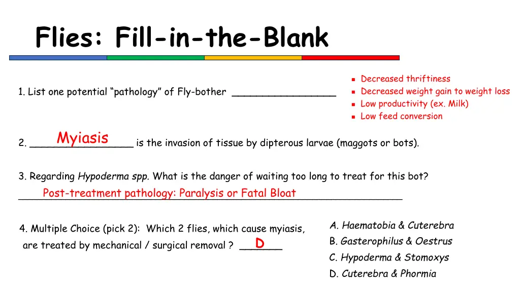 flies fill in the blank