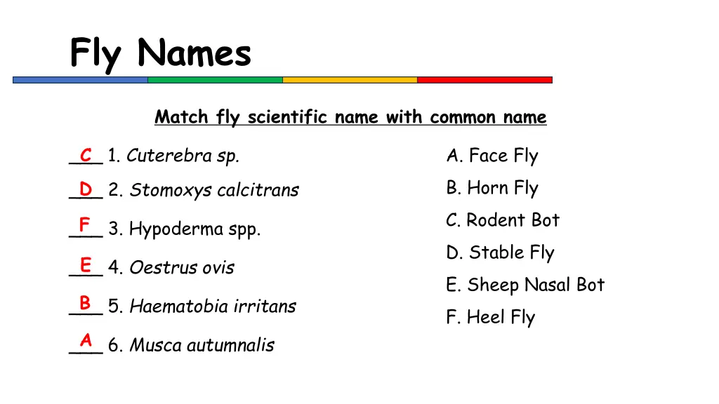 fly names