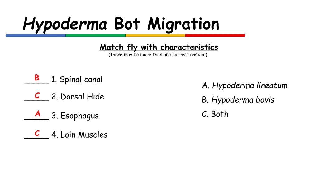 hypoderma bot migration