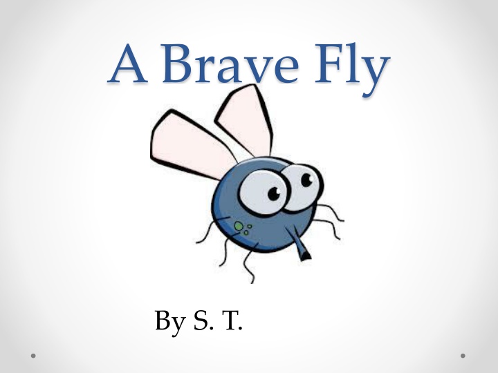 a brave fly