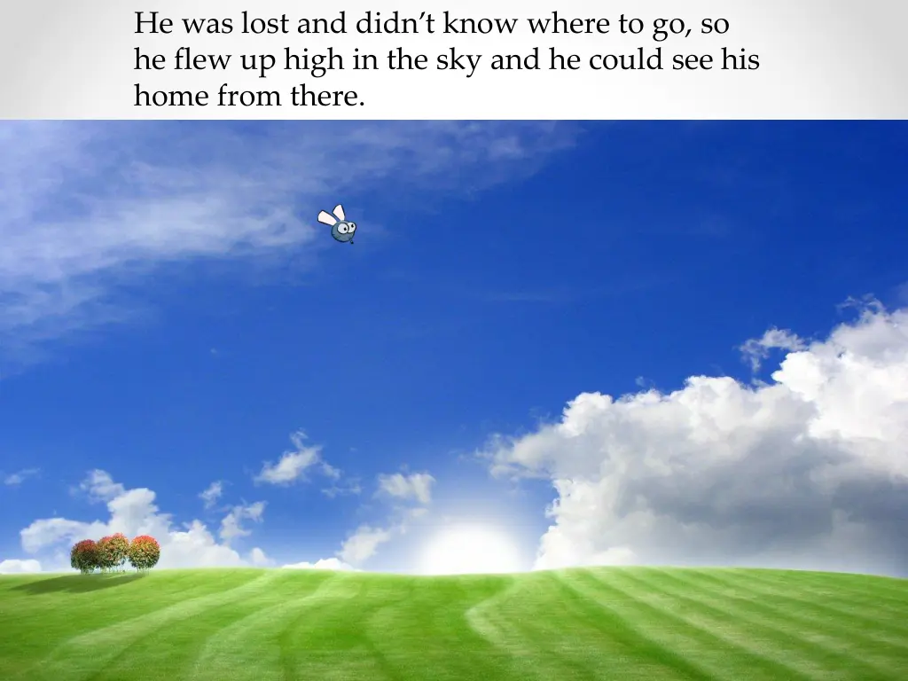 he was lost and didn t know where