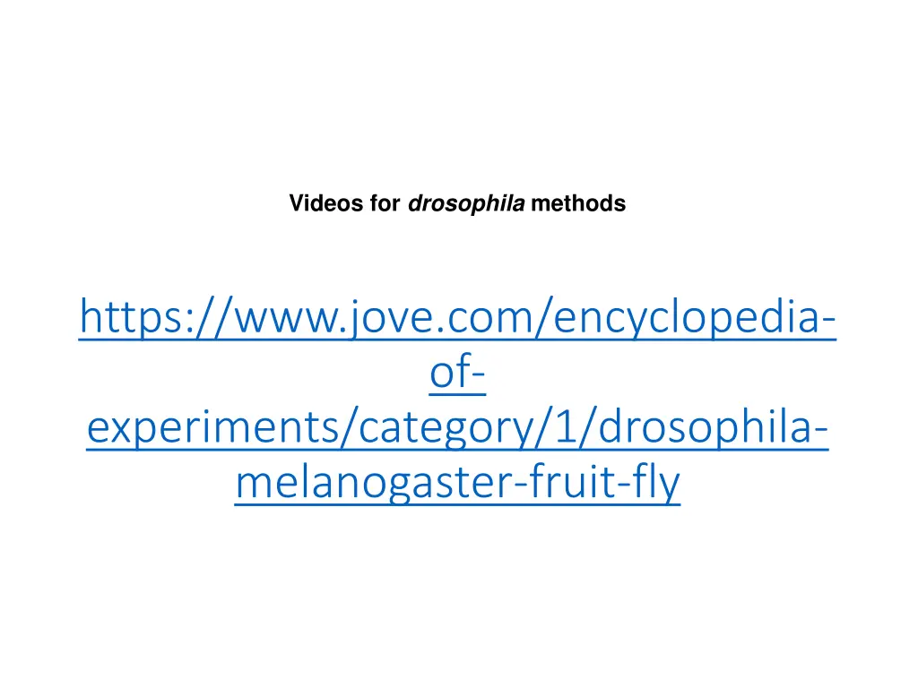 videos for drosophila methods