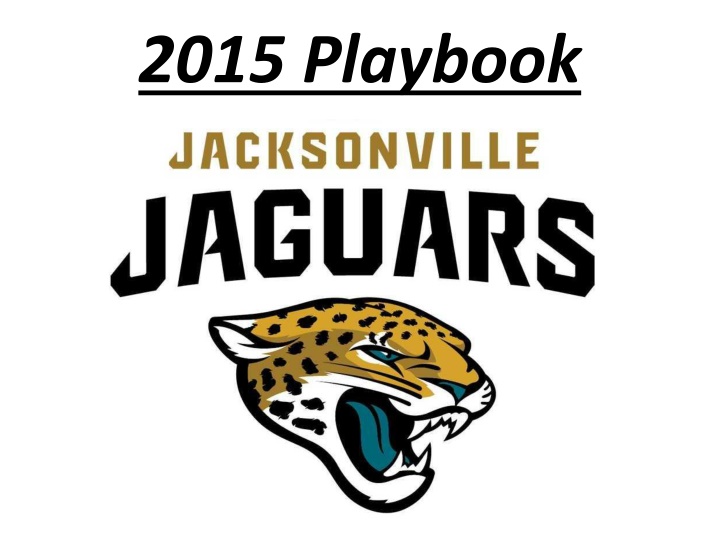 2015 playbook