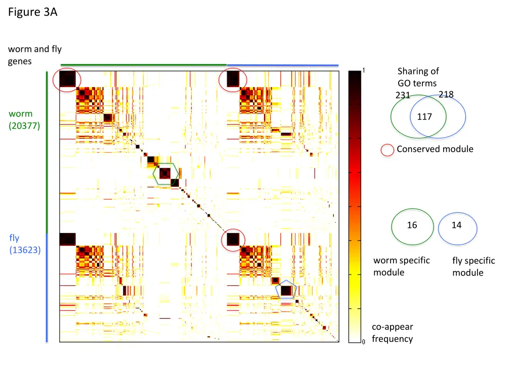 figure 3a