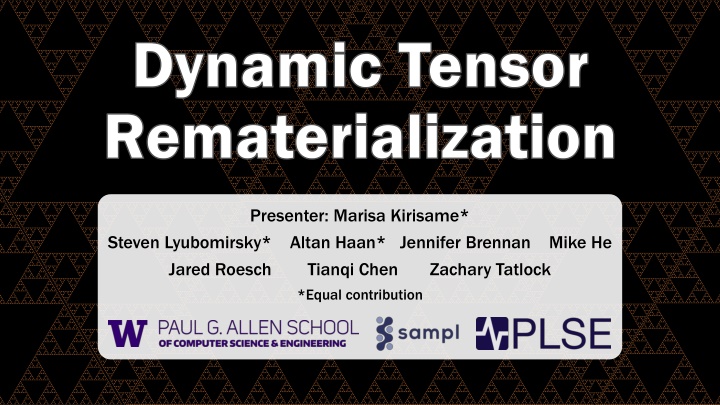 dynamic tensor dynamic tensor rematerialization