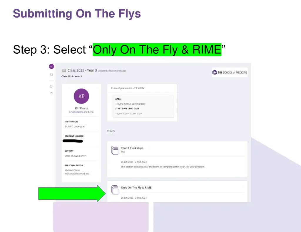 submitting on the flys 2