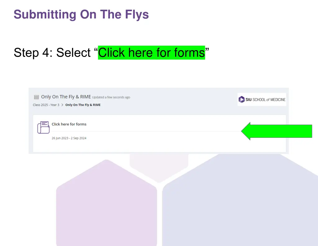 submitting on the flys 3