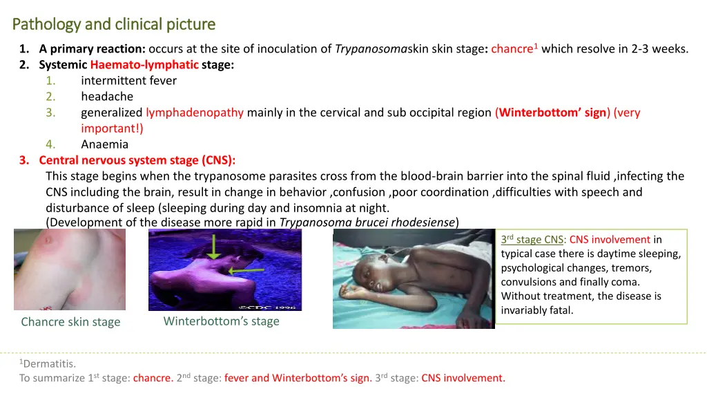 pathology and clinical picture pathology