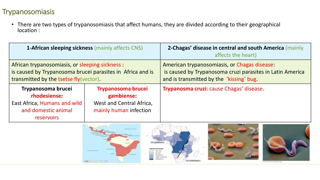 trypanosomiasis trypanosomiasis