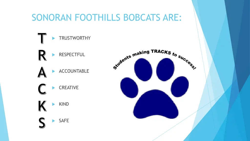 sonoran foothills bobcats are t r a c k s