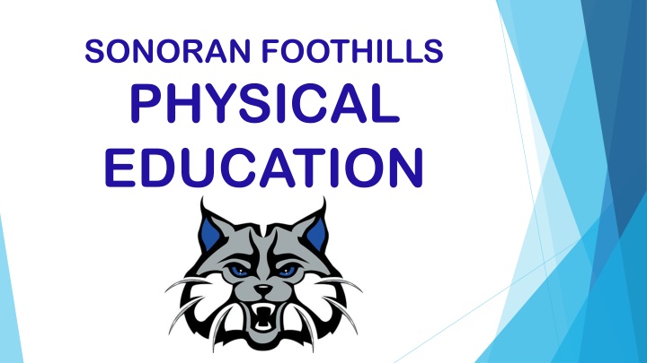 sonoran foothills physical education