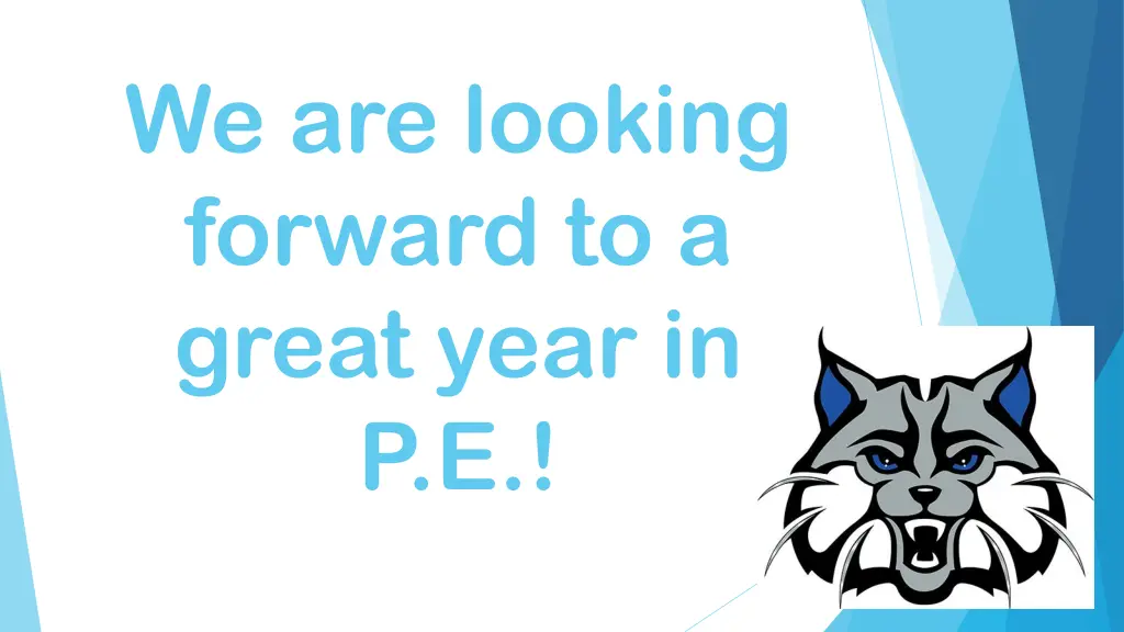 we are looking forward to a great year in p e