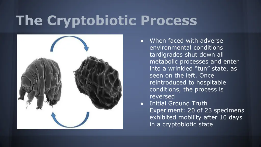 the cryptobiotic process