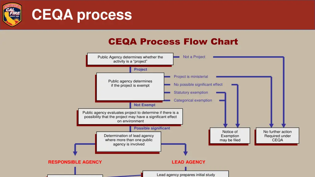 ceqa process