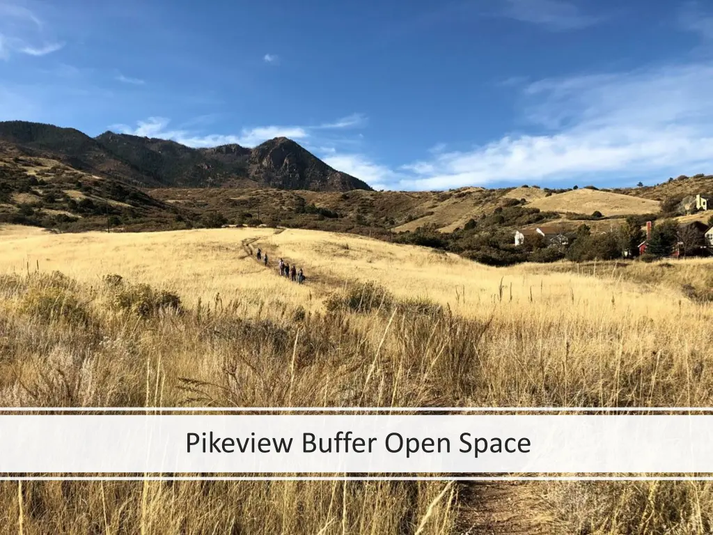 pikeview buffer open space