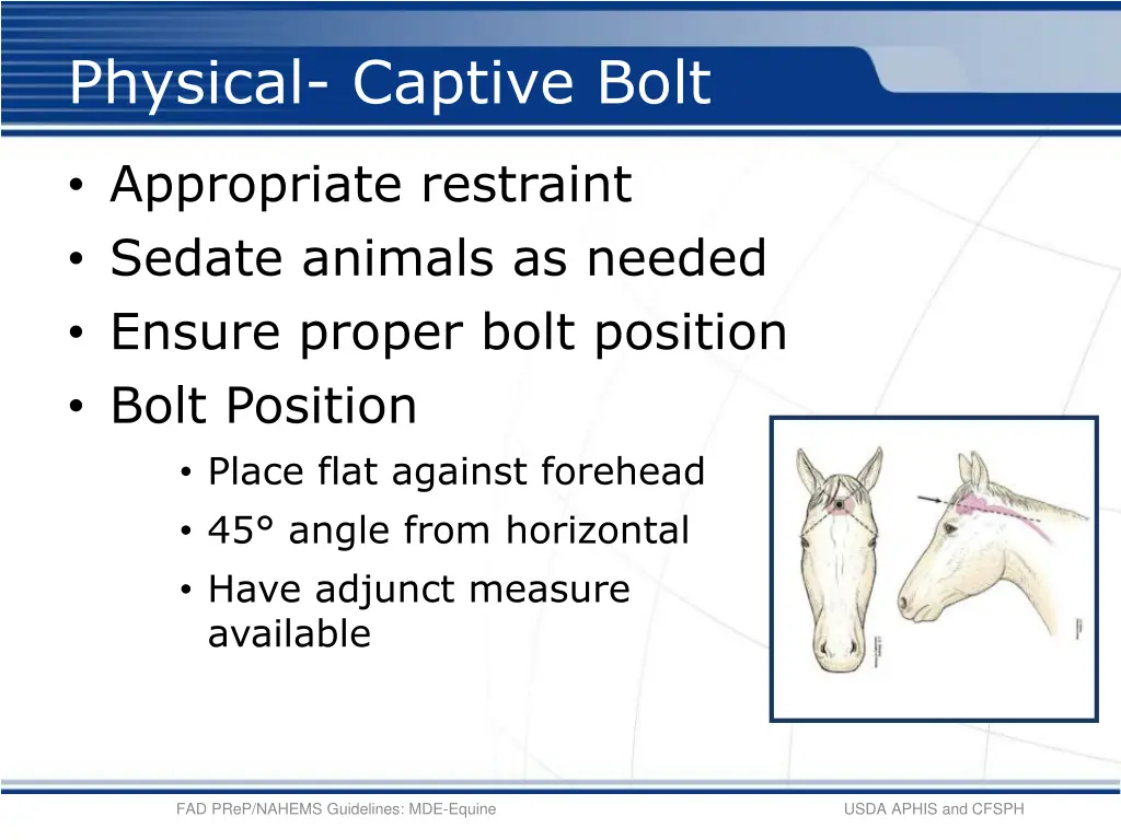 physical captive bolt