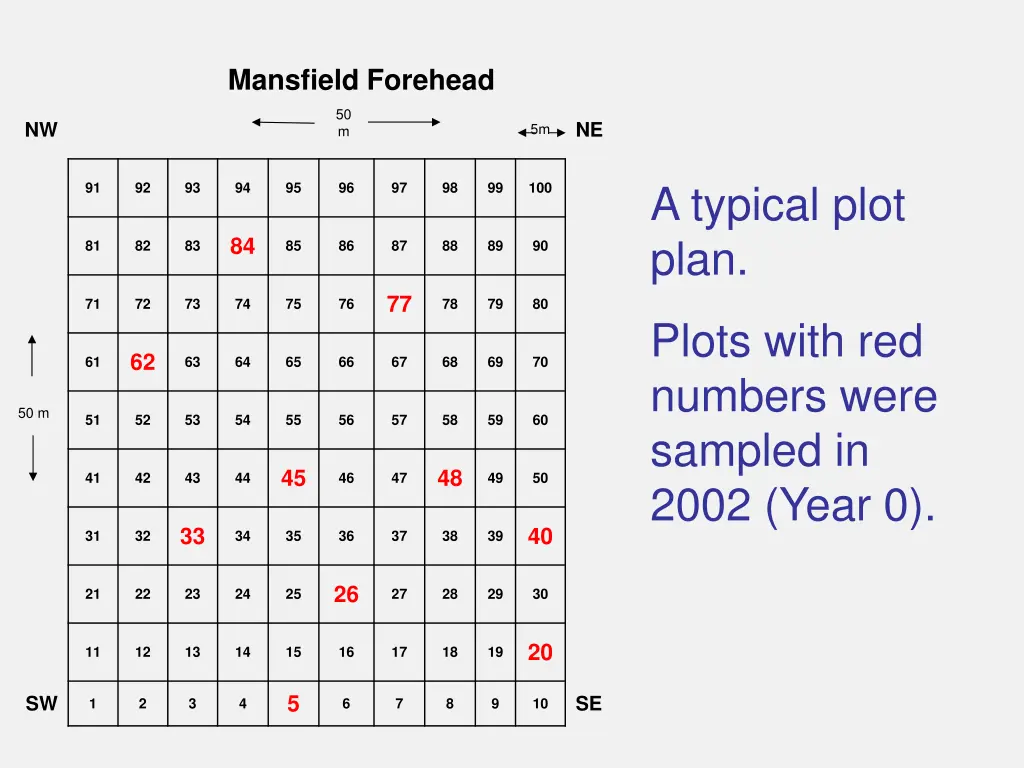 mansfield forehead