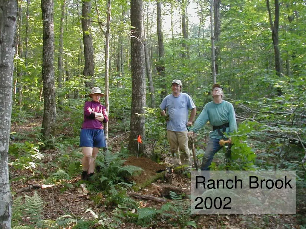 ranch brook 2002